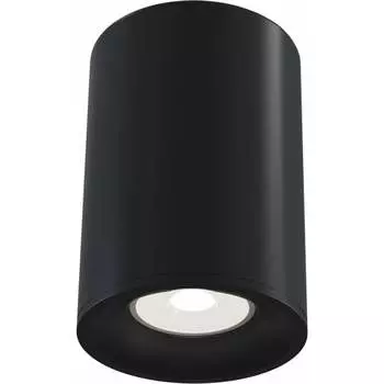 Потолочный светильник MAYTONI Alfa C012CL-01B