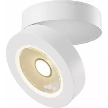 Потолочный светильник MAYTONI