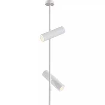 Потолочный светильник MAYTONI Elti C021CL-02W