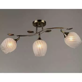 Потолочный светильник Мелодия Света