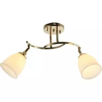 Потолочный светильник Мелодия Света P6570-2 GD 30805