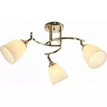 Потолочный светильник Мелодия Света