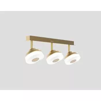 Потолочный светильник Мелодия Света