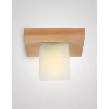 Потолочный светильник Мелодия Света