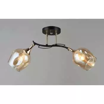 Потолочный светильник Мелодия Света