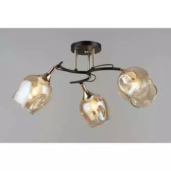 Потолочный светильник Мелодия Света