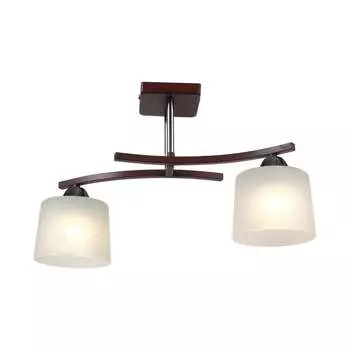 Потолочный светильник Мелодия Света