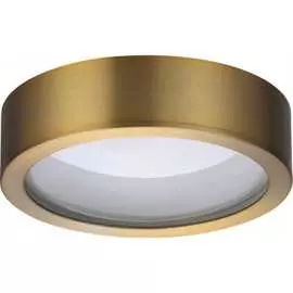 Потолочный светильник ODEON LIGHT REUS 4342_7CL