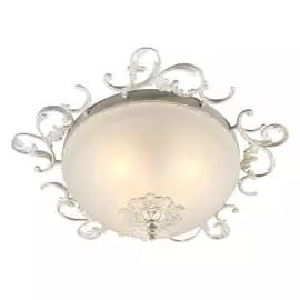 Потолочный светильник Omnilux