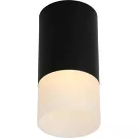 Потолочный светильник Omnilux