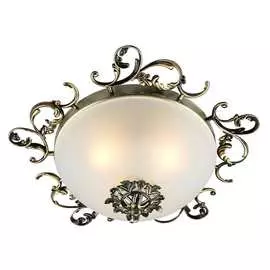 Потолочный светильник Omnilux