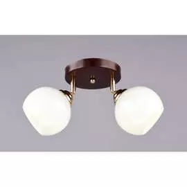 Потолочный светильник РОССВЕТ