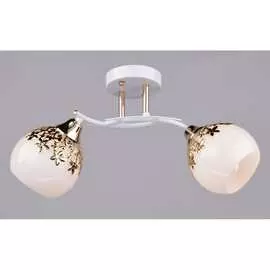 Потолочный светильник РОССВЕТ