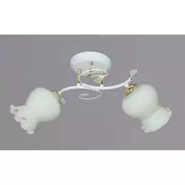 Потолочный светильник РОССВЕТ