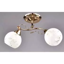 Потолочный светильник РОССВЕТ