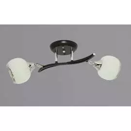 Потолочный светильник РОССВЕТ