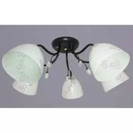 Потолочный светильник РОССВЕТ