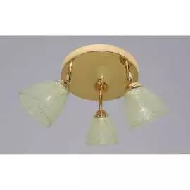 Потолочный светильник РОССВЕТ