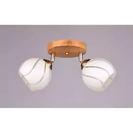 Потолочный светильник РОССВЕТ