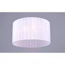 Потолочный светильник РОССВЕТ