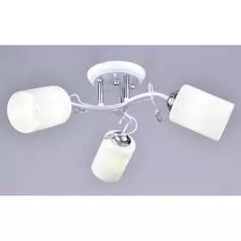 Потолочный светильник РОССВЕТ