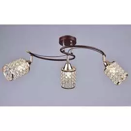 Потолочный светильник РОССВЕТ