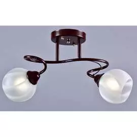 Потолочный светильник РОССВЕТ