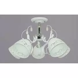 Потолочный светильник РОССВЕТ