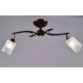 Потолочный светильник РОССВЕТ