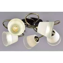 Потолочный светильник РОССВЕТ