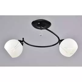 Потолочный светильник РОССВЕТ