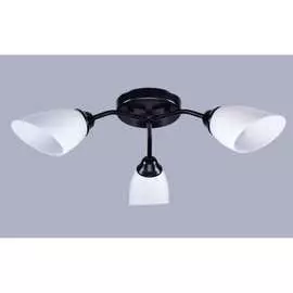 Потолочный светильник РОССВЕТ