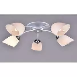 Потолочный светильник РОССВЕТ