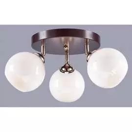 Потолочный светильник РОССВЕТ