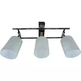 Потолочный светильник РОССВЕТ