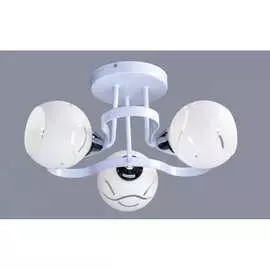 Потолочный светильник РОССВЕТ