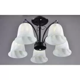 Потолочный светильник РОССВЕТ