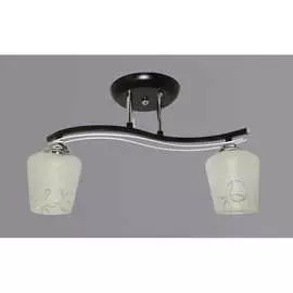 Потолочный светильник РОССВЕТ