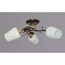 Потолочный светильник РОССВЕТ