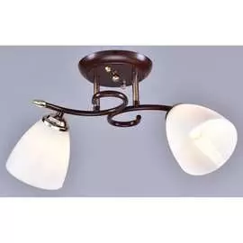 Потолочный светильник РОССВЕТ