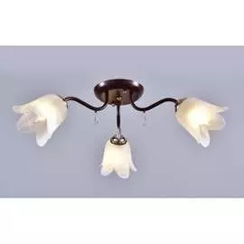 Потолочный светильник РОССВЕТ