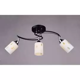 Потолочный светильник РОССВЕТ