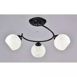 Потолочный светильник РОССВЕТ