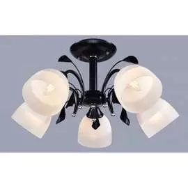 Потолочный светильник РОССВЕТ 21886 BK+CR/5C