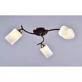 Потолочный светильник РОССВЕТ