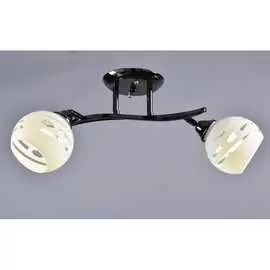 Потолочный светильник РОССВЕТ