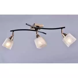 Потолочный светильник РОССВЕТ