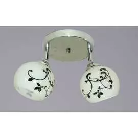 Потолочный светильник РОССВЕТ