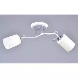 Потолочный светильник РОССВЕТ