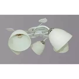 Потолочный светильник РОССВЕТ